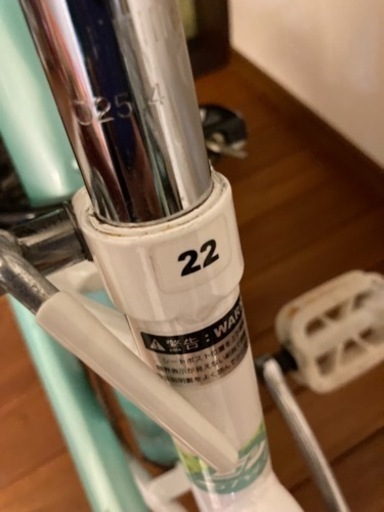 アサヒ子供用自転車　22インチ　PECHE(ペシェ) グリーン