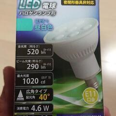 LED電球の画像