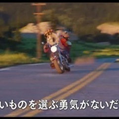 【SING(シング)】 観に行きませんか？🎬🎤 − 東京都
