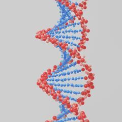 胃酸と細胞はつながっている！？＜細胞科学体験講座＞の画像