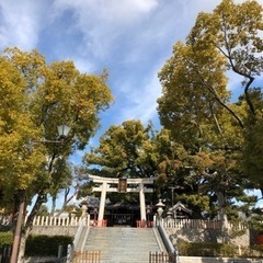 神社、お寺、パワースポットとカフェ巡り