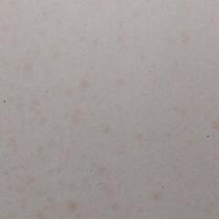 掛け軸売りますの画像
