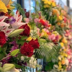 フラダンスレッスン生募集中‼︎の画像