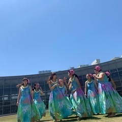 フラダンスレッスン生募集中‼︎の画像
