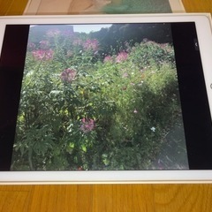 【256GB/ゴールド】apple/ipad pro 12.9インチ セルラーモデルの画像