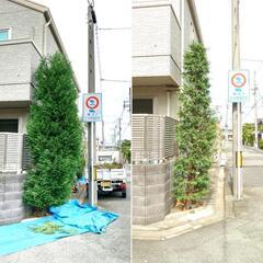 見積無料!　　植木のお手入れ、剪定、伐採。お庭に関するお困り事。 - 岸和田市