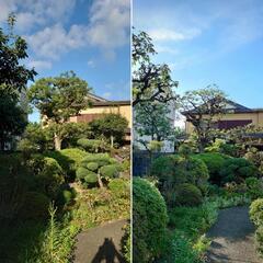 見積無料!　　植木のお手入れ、剪定、伐採。お庭に関するお困り事。 − 大阪府