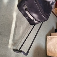 サムソナイトピギーバッグの画像