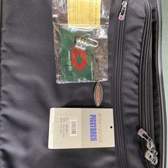 サムソナイトピギーバッグの画像