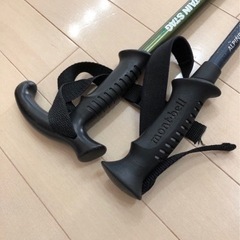 2本セット　トレッキングポール