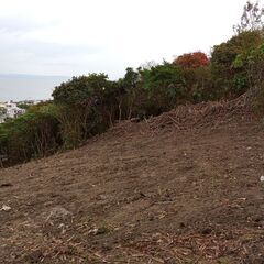 南城市知念字安座真土地 - 不動産