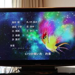 Panasonic VIERA 50インチプラズマテレビ