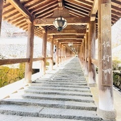 ドライブ情報、旅先情報、温泉情報交換しませんか？ - 桜井市