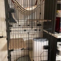 3/21まで　キャットゲージ　一年間のみ使用