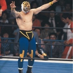 燃えろ！新日本プロレスDVD、アントニオ猪木　ハルクホーガン
の画像