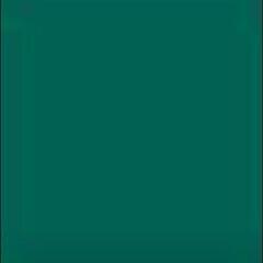 グリーンのブラウスの画像