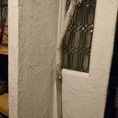 流木 170cmの画像