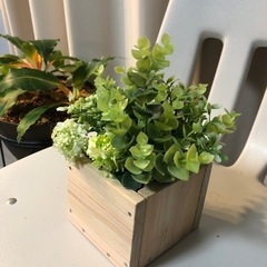 檜の木箱　　ハンドメイド