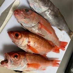 釣り好き募集（平日休み）