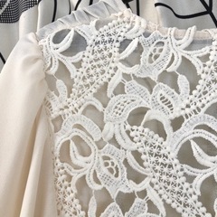 ボレロ ショール ケープ レース シフォンの画像