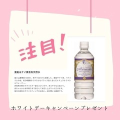 半身オイルリンパ半額!!3月ホワイトデーキャンペーン！男女OK!! - 宇都宮市
