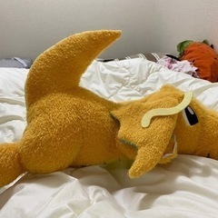 ポケモンの画像
