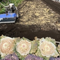 竹、粉砕します - 助け合い