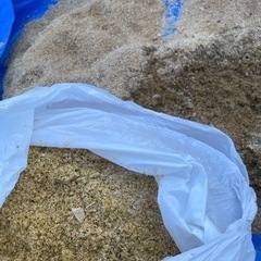 竹、粉砕します - 手伝いたい/助けたい