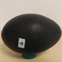 エミュー卵　卵殻の画像