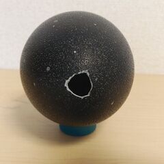 エミュー卵　卵殻の画像