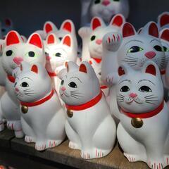 上京組！仲良くなりたいです😌 - 川崎市