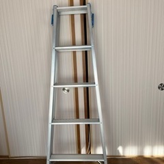 引き取り決まりました　　はしご
