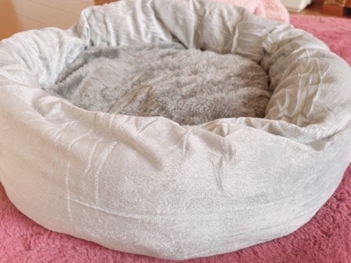 新品 猫用ベッド