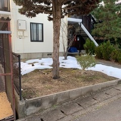 庭の草刈り整地❗️❗️ - 豊岡市