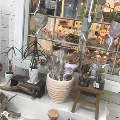 Aintemilio(アンテミリオ)シャオ店にある服飾雑貨屋さんです。まだ新しいお店なので未経験の方でも一緒に覚えて行けます^_^の画像
