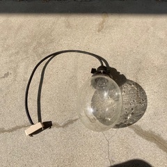 たまご型ライトの画像