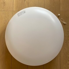 天井照明