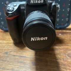 NikonD3S  フラッグシップ一桁機