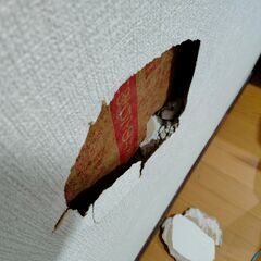 ◆◆◆◆◆◆◆◆◆◆◆◆壁穴修理 - 足立区