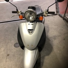 af67トゥデイ 