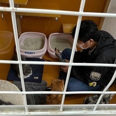 一緒にライブ配信始めませんか？^^ - その他
