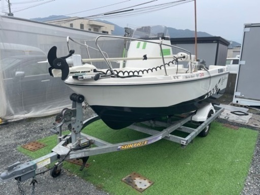 マリンモーターNeo390プレジャーボート、トレーラーセット