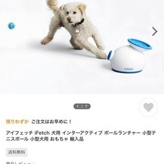 犬用自動ボール投げ　ボールランチャー