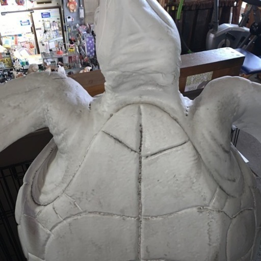 店のディスプレイに　亀のオブジェ　大型