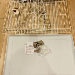 新品未使用小型犬用品６点セットの画像