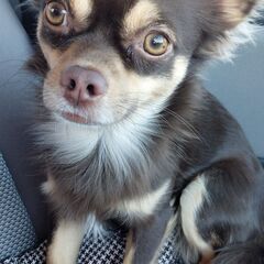 バイトしたい時と、頼みたい時のタイミングが合えば、いつでもOKの画像