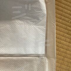 介護用品　おねしょ対策にも　未開封未使用　使い捨て防水シーツ大判タイプ ロング16枚　ふとんのシングルサイズ弱くらいの大きさの画像