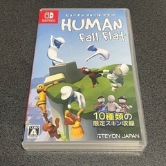 switchヒューマン フォール フラット