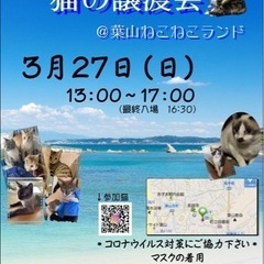 葉山ねこねこランド保護猫譲渡会