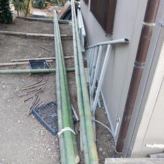 竹　真竹　真っ直ぐ　既に青くはありません